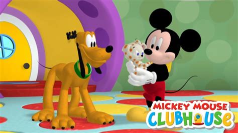 mickey mouse clubhouse pluto|pluto's puppy sitting adventure.